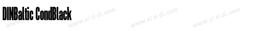 DINBaltic CondBlack字体转换